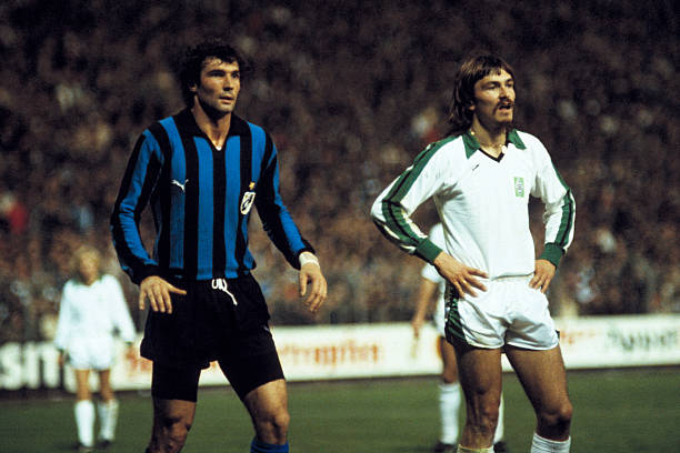 成为申花能 成为申花能