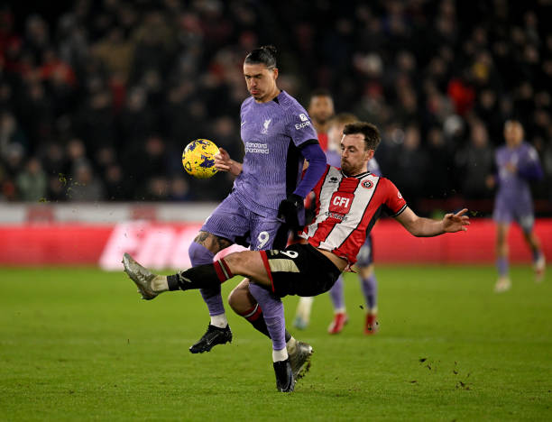 量资源引进 量资源引进