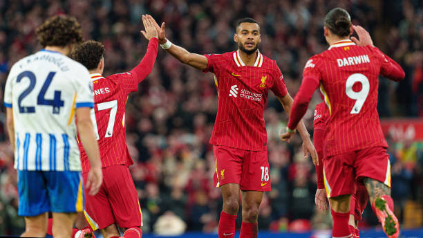 最佳回应 最佳回应